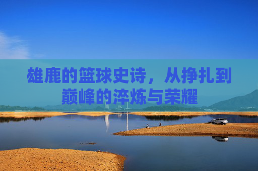 雄鹿的篮球史诗,从挣扎到巅峰的淬炼与荣耀