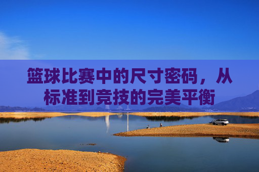 篮球比赛中的尺寸密码，从标准到竞技的完美平衡