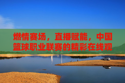 燃情赛场,直播赋能,中国篮球职业联赛的精彩在线观赛体验