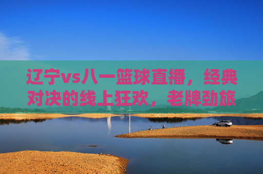 辽宁vs八一篮球直播,经典对决的线上狂欢,老牌劲旅的篮球传承