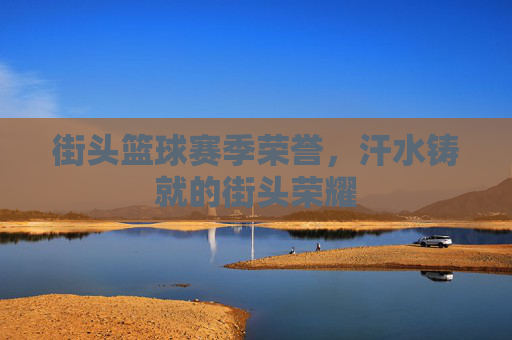 街头篮球赛季荣誉,汗水铸就的街头荣耀