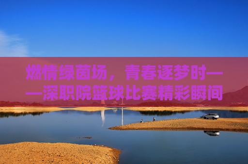 燃情绿茵场,青春逐梦时——深职院篮球比赛精彩瞬间与精神传承