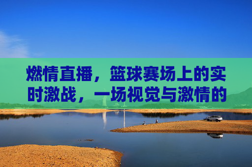 燃情直播,篮球赛场上的实时激战,一场视觉与激情的盛宴