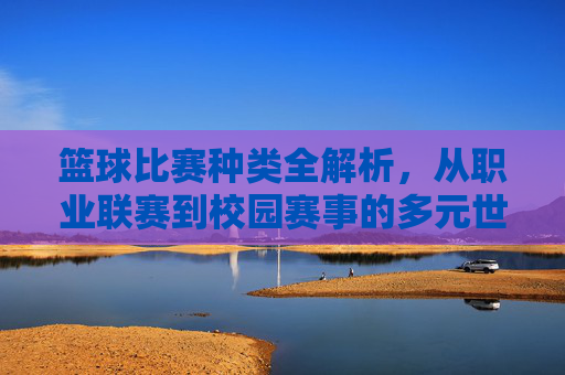 篮球比赛种类全解析,从职业联赛到校园赛事的多元世界,篮球比赛种类全解析,从职业联赛到校园赛事的多元世界