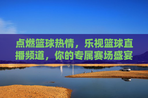 点燃篮球热情,乐视篮球直播频道,你的专属赛场盛宴——解码乐视如何成为篮球迷的数字看台