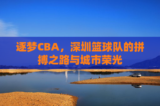 逐梦CBA，深圳篮球队的拼搏之路与城市荣光