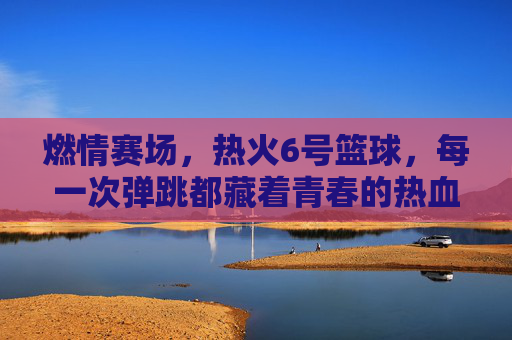 燃情赛场,热火6号篮球,每一次弹跳都藏着青春的热血与梦想