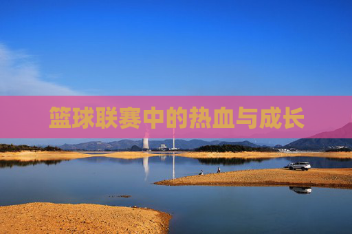 篮球联赛中的热血与成长