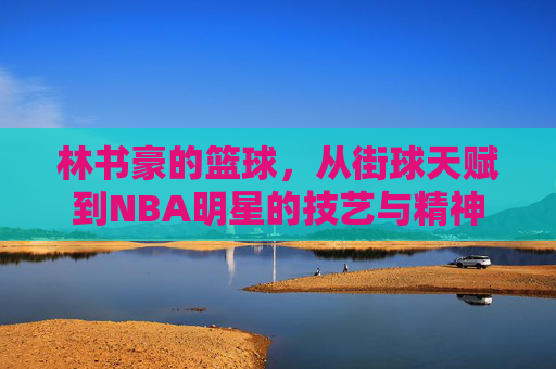 林书豪的篮球,从街球天赋到NBA明星的技艺与精神