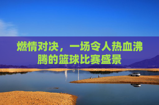 燃情对决,一场令人热血沸腾的篮球比赛盛景