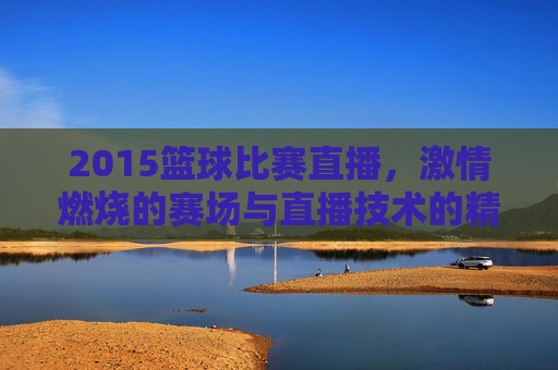 2015篮球比赛直播,激情燃烧的赛场与直播技术的精彩呈现