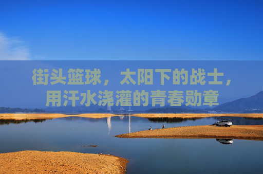 街头篮球，太阳下的战士，用汗水浇灌的青春勋章