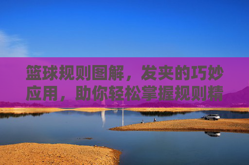篮球规则图解,发夹的巧妙应用,助你轻松掌握规则精髓,篮球规则图解,发夹的巧妙应用,助你轻松掌握规则精髓