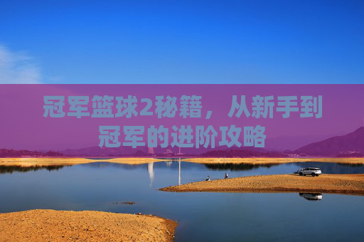 冠军篮球2秘籍,从新手到冠军的进阶攻略