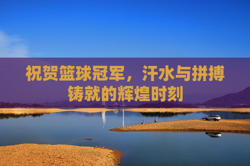 祝贺篮球冠军,汗水与拼搏铸就的辉煌时刻