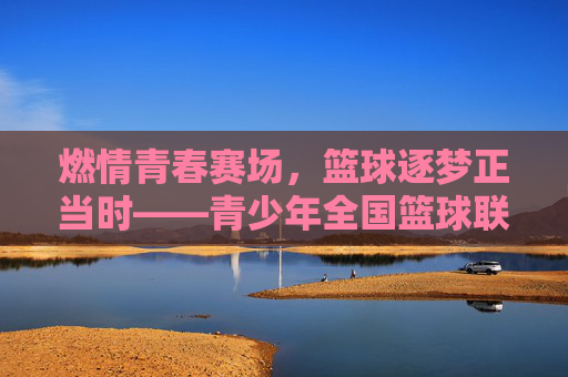 燃情青春赛场，篮球逐梦正当时——青少年全国篮球联赛的活力与成长