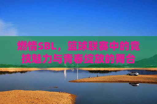 燃情SBL,篮球联赛中的竞技魅力与青春绽放的舞台