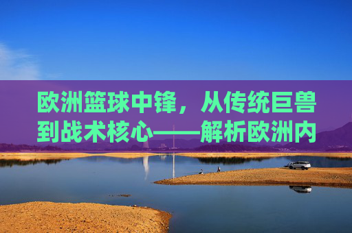 欧洲篮球中锋，从传统巨兽到战术核心——解析欧洲内线球员的多元魅力与时代变迁