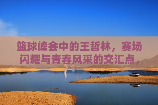 篮球峰会中的王哲林，赛场闪耀与青春风采的交汇点，篮球峰会中的王哲林，赛场闪耀与青春风采的交汇点