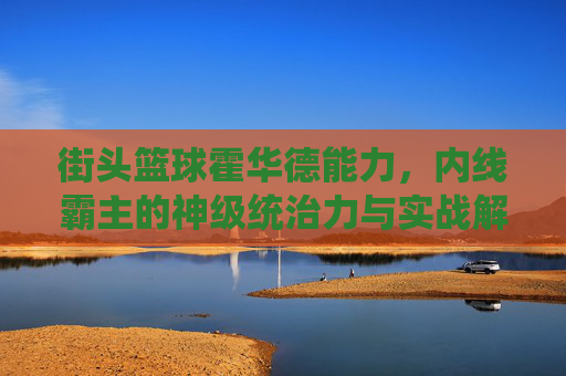 街头篮球霍华德能力，内线霸主的神级统治力与实战解析