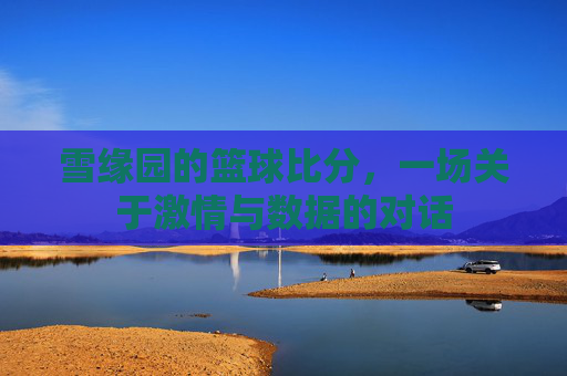雪缘园的篮球比分,一场关于激情与数据的对话