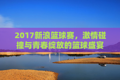 2017新浪篮球赛，激情碰撞与青春绽放的篮球盛宴