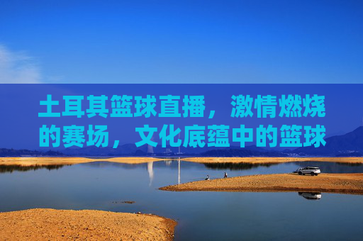 土耳其篮球直播，激情燃烧的赛场，文化底蕴中的篮球艺术