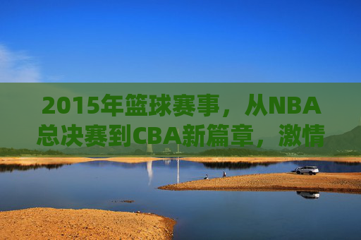 2015年篮球赛事,从NBA总决赛到CBA新篇章,激情与竞争的完美演绎,2015篮球赛事,从NBA总决赛到CBA新篇章的激情竞技