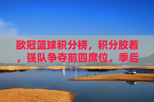 欧冠篮球积分榜,积分胶着,强队争夺前四席位,季后赛席位争夺白热化