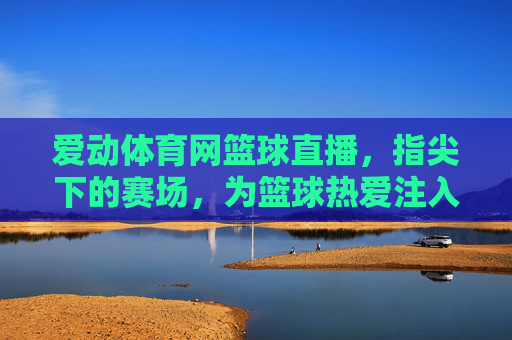 爱动体育网篮球直播,指尖下的赛场,为篮球热爱注入新活力