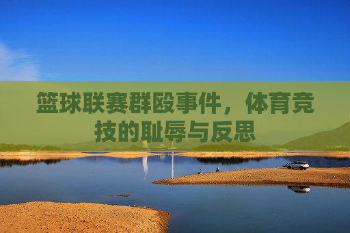 篮球联赛群殴事件，体育竞技的耻辱与反思