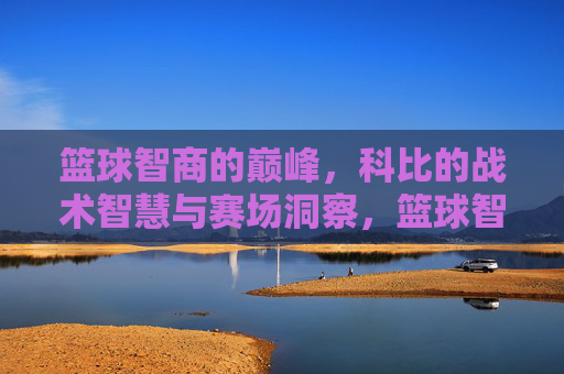 篮球智商的巅峰,科比的战术智慧与赛场洞察,篮球智商的巅峰,科比的战术智慧与赛场洞察