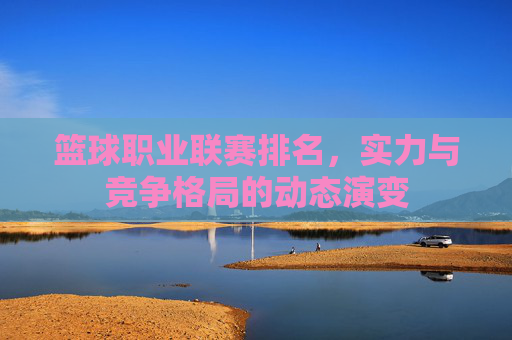 篮球职业联赛排名,实力与竞争格局的动态演变