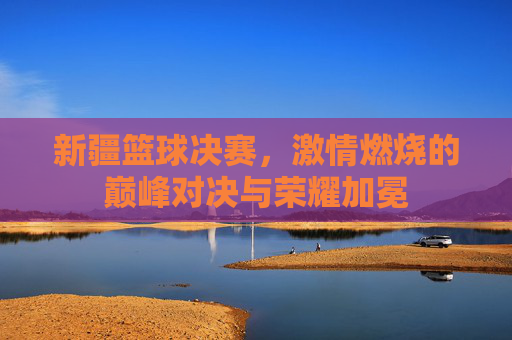 新疆篮球决赛,激情燃烧的巅峰对决与荣耀加冕