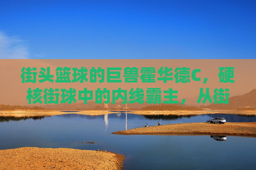 街头篮球的巨兽霍华德C，硬核街球中的内线霸主，从街边球场到篮球殿堂的硬核征途，街头篮球巨兽霍华德C，内线霸主从街边球场到篮球殿堂的硬核征途