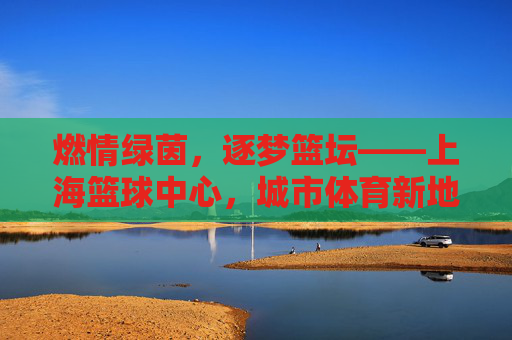 燃情绿茵,逐梦篮坛——上海篮球中心,城市体育新地标与篮球文化的活力枢纽