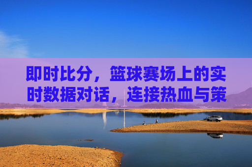 即时比分，篮球赛场上的实时数据对话，连接热血与策略的桥梁
