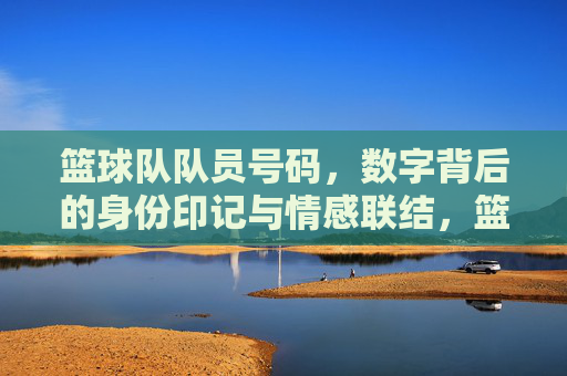 篮球队队员号码,数字背后的身份印记与情感联结,篮球队队员号码,数字背后的身份印记与情感联结