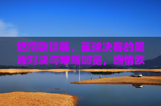 燃情欧锦赛,篮球决赛的巅峰对决与荣耀加冕,燃情欧锦赛,篮球决赛的巅峰对决与荣耀加冕