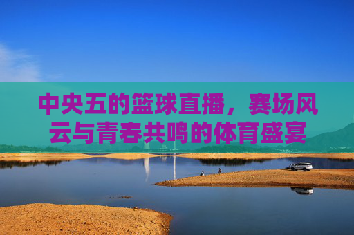 中央五的篮球直播,赛场风云与青春共鸣的体育盛宴