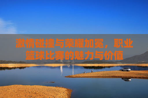 激情碰撞与荣耀加冕，职业篮球比赛的魅力与价值