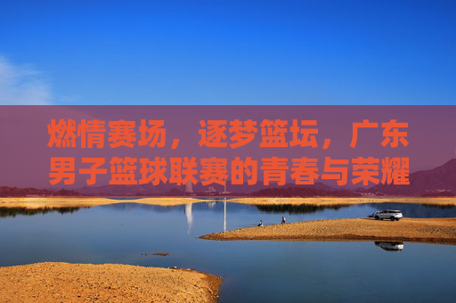 燃情赛场,逐梦篮坛,广东男子篮球联赛的青春与荣耀,燃情赛场,逐梦篮坛,广东男子篮球联赛的青春与荣耀