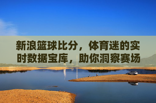 新浪篮球比分，体育迷的实时数据宝库，助你洞察赛场风云，新浪篮球比分，体育迷的实时数据宝库，助你洞察赛场风云
