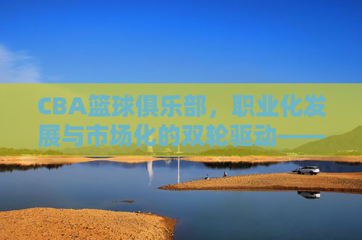 CBA篮球俱乐部，职业化发展与市场化的双轮驱动——中国篮球职业联赛的崛起与未来图景，CBA篮球俱乐部，职业化发展与市场化的双轮驱动——中国篮球职业联赛的崛起与未来图景