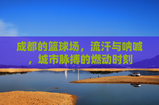 成都的篮球场，流汗与呐喊，城市脉搏的燃动时刻