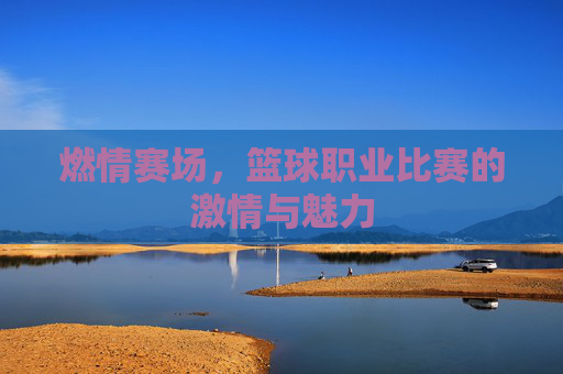 燃情赛场，篮球职业比赛的激情与魅力