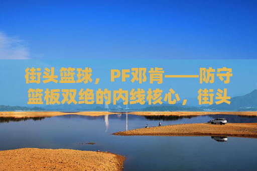 街头篮球，PF邓肯——防守篮板双绝的内线核心，街头篮球PF邓肯，防守篮板双绝的内线核心