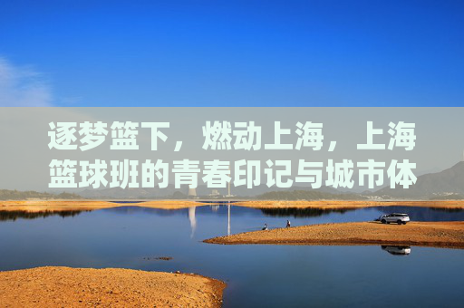 逐梦篮下，燃动上海，上海篮球班的青春印记与城市体育新声，逐梦篮下，燃动上海，上海篮球班的青春印记与城市体育新声
