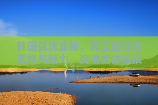 韩国篮球直播,韩流篮球的激情与魅力,沉浸式体验顶级赛事盛宴,韩国篮球直播,沉浸式体验顶级赛事的激情与魅力