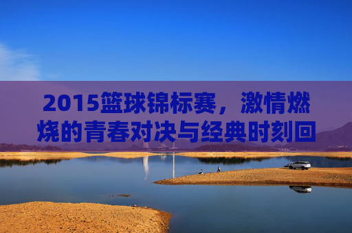2015篮球锦标赛，激情燃烧的青春对决与经典时刻回眸，2015篮球锦标赛，激情燃烧的青春对决与经典时刻回眸
